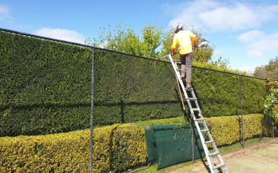 Why You Should Maintain Hedges