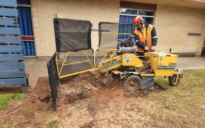 Tree Stump Removal in Adelaide Hills
