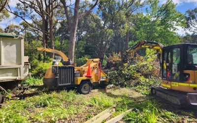 Adelaide Hills Block Clean-Up Services